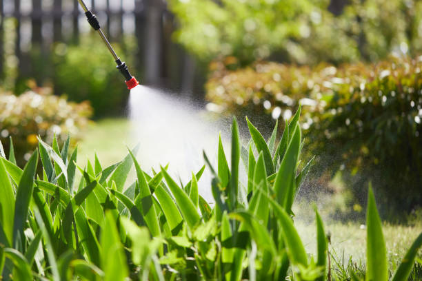 Void Injection for Cockroach Colonies in Hales Corners